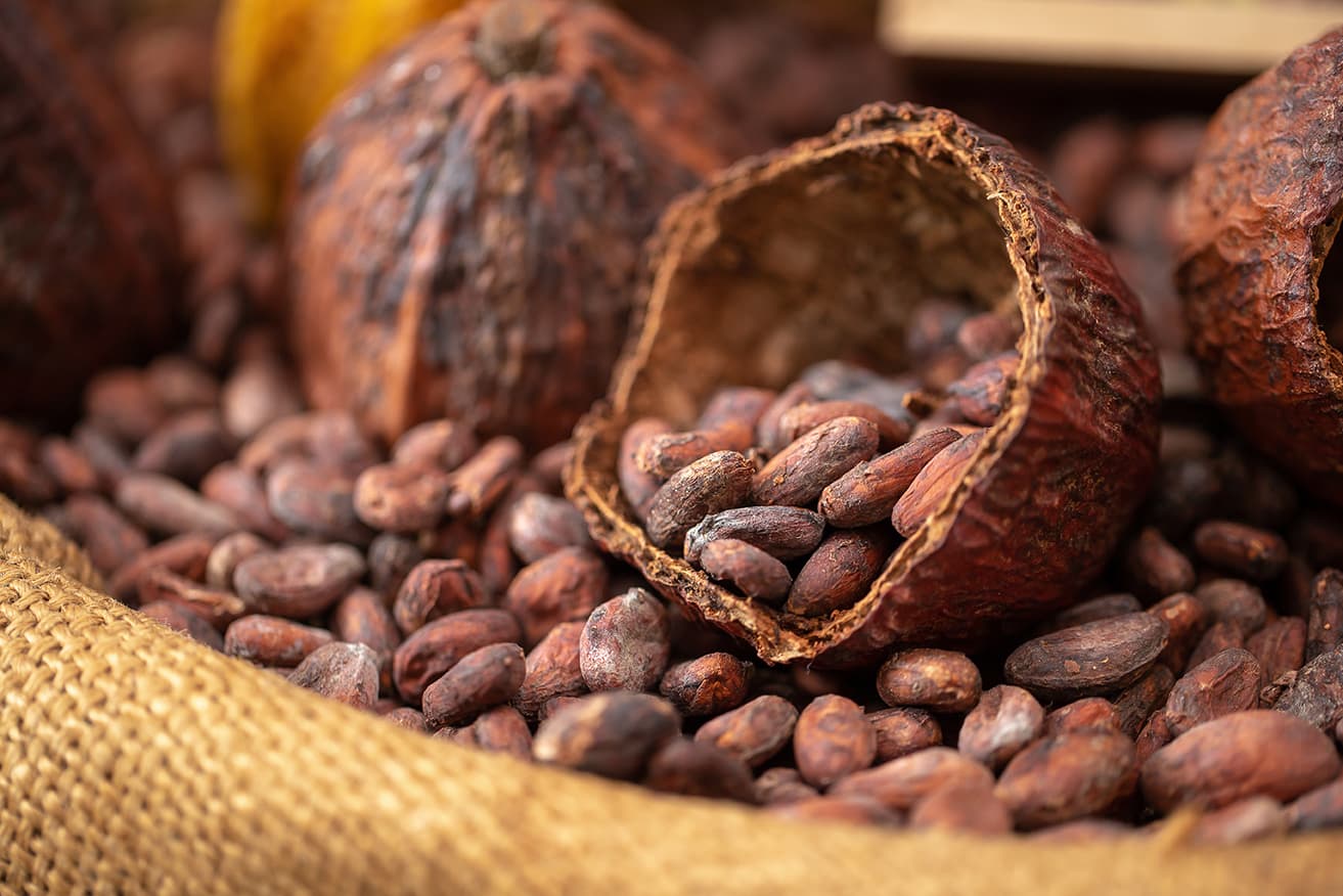 Fèves de cacao artisanal pour chocolat Bean to Bar français